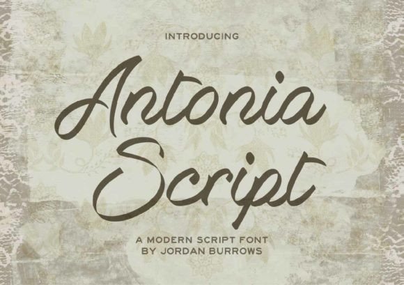 Antonia Script: A Elegant Font for Creative Projects
