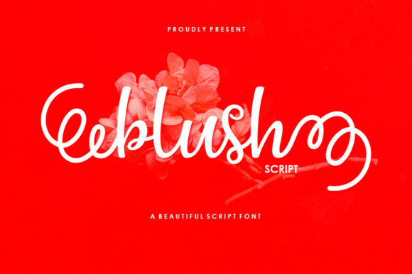 Blush Script: A Font That Adds Charm