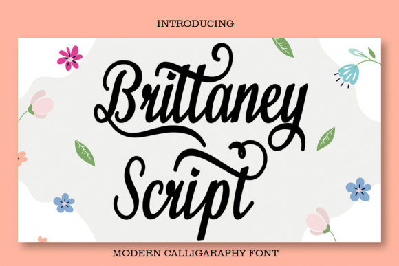 Brittaney Script: A Font for Creative Campaigns