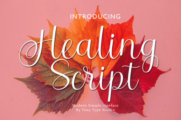 Healing Script Font for Creative Projects