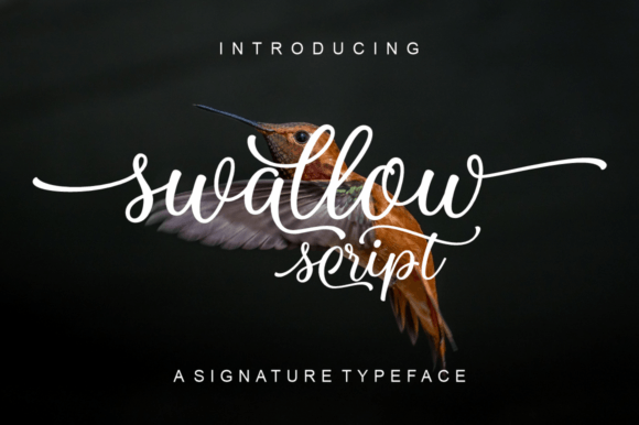 Swallow Script: A Stylish Font for Editorial Design