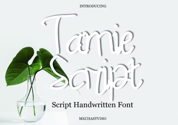 Tamie Script: A Stylish Font for Digital Marketing